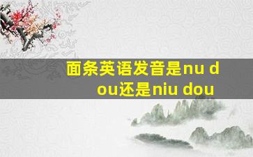 面条英语发音是nu dou还是niu dou